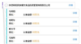 陕西明阳民族餐饮食品投资管理有限责任公司的投资管理策略